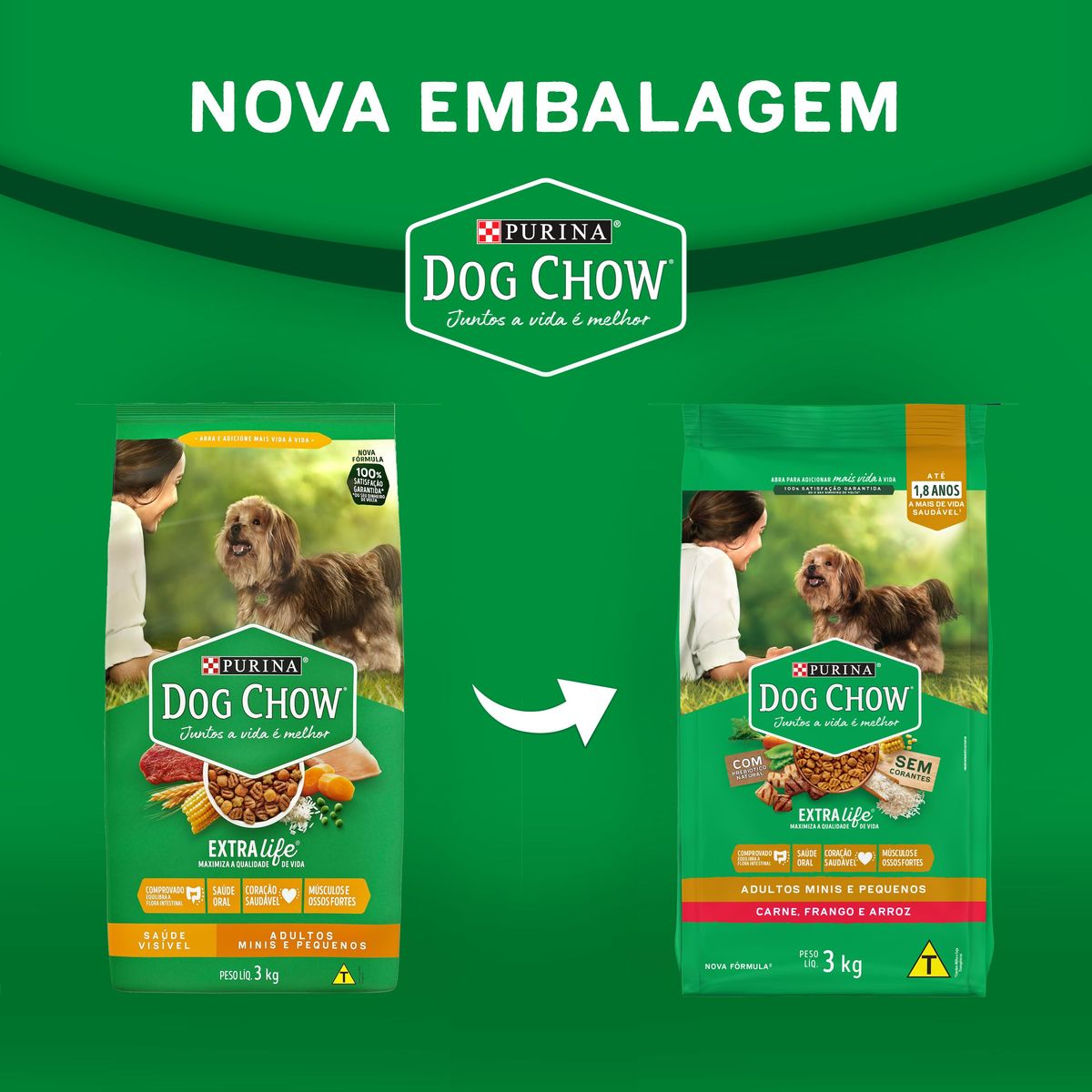 Alimento Dog Chow Cães Adultos Minis e Pequenos Frango e Arroz 3kg image number 8