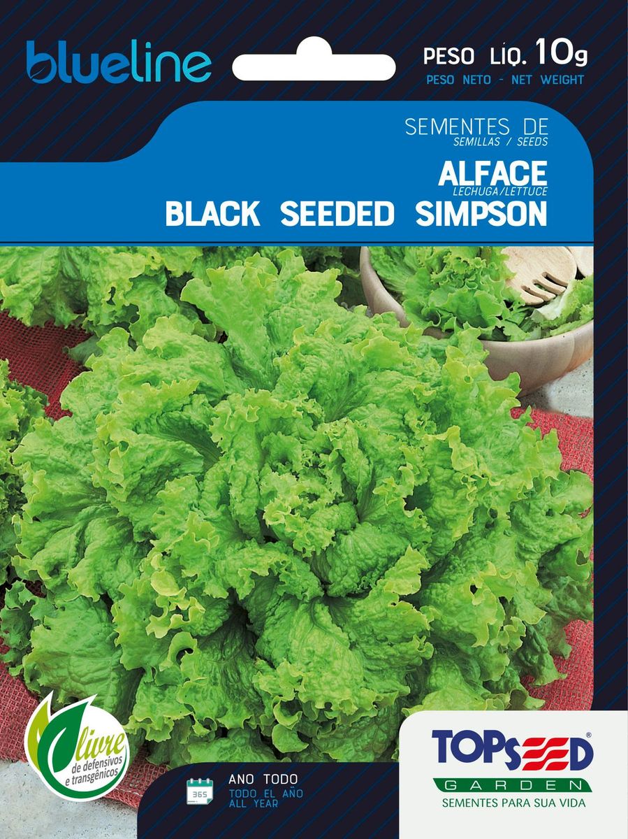 Semente Blue Line Alface Black Seeded Simpson 10g
